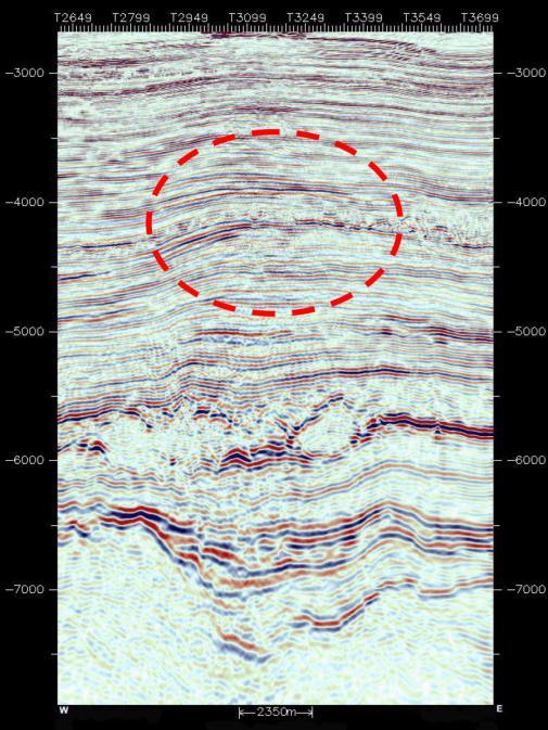 14 shows the PSDM processed seismic line of the same area where structural amplitude of the low inbetween the culminations almost diminishes in the upper part, but still the saddle shaped low exist