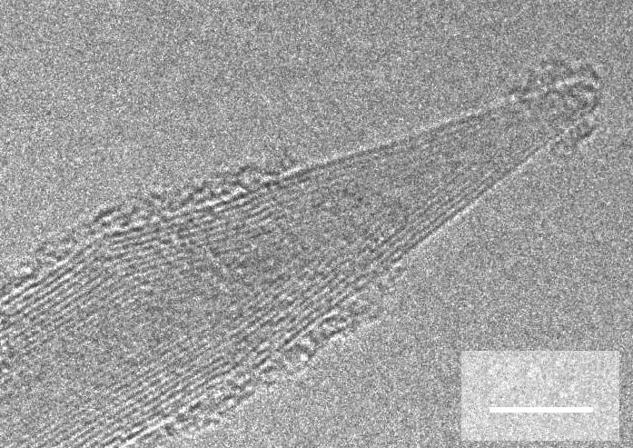 8 1 Structures and Synthesis of Carbon Nanotubes Figure 1.7 TEM picture of a MWNT with a cone-shaped tip. The cone angle is 19.2, indicating the presence of five pentagons at the apex.