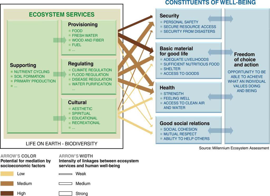 Natural Capital, Ecosystem Services and their implications