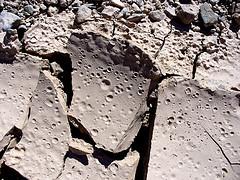 Clastic Sedimentary Rock s s Structure Raindrop Imprints and casts Form when big rain drops fall on mud Raindrop imprints are depressions formed on the bed upon