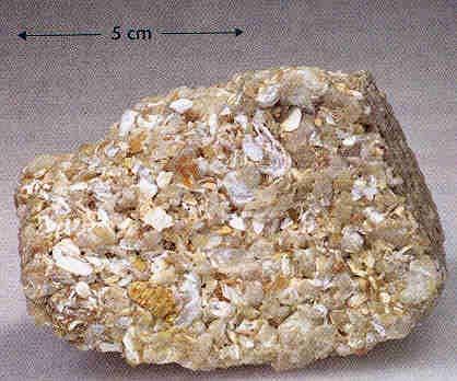 of calcite (calcium carbonate CaCO3) most abundant chemical sedimentary rock 10%