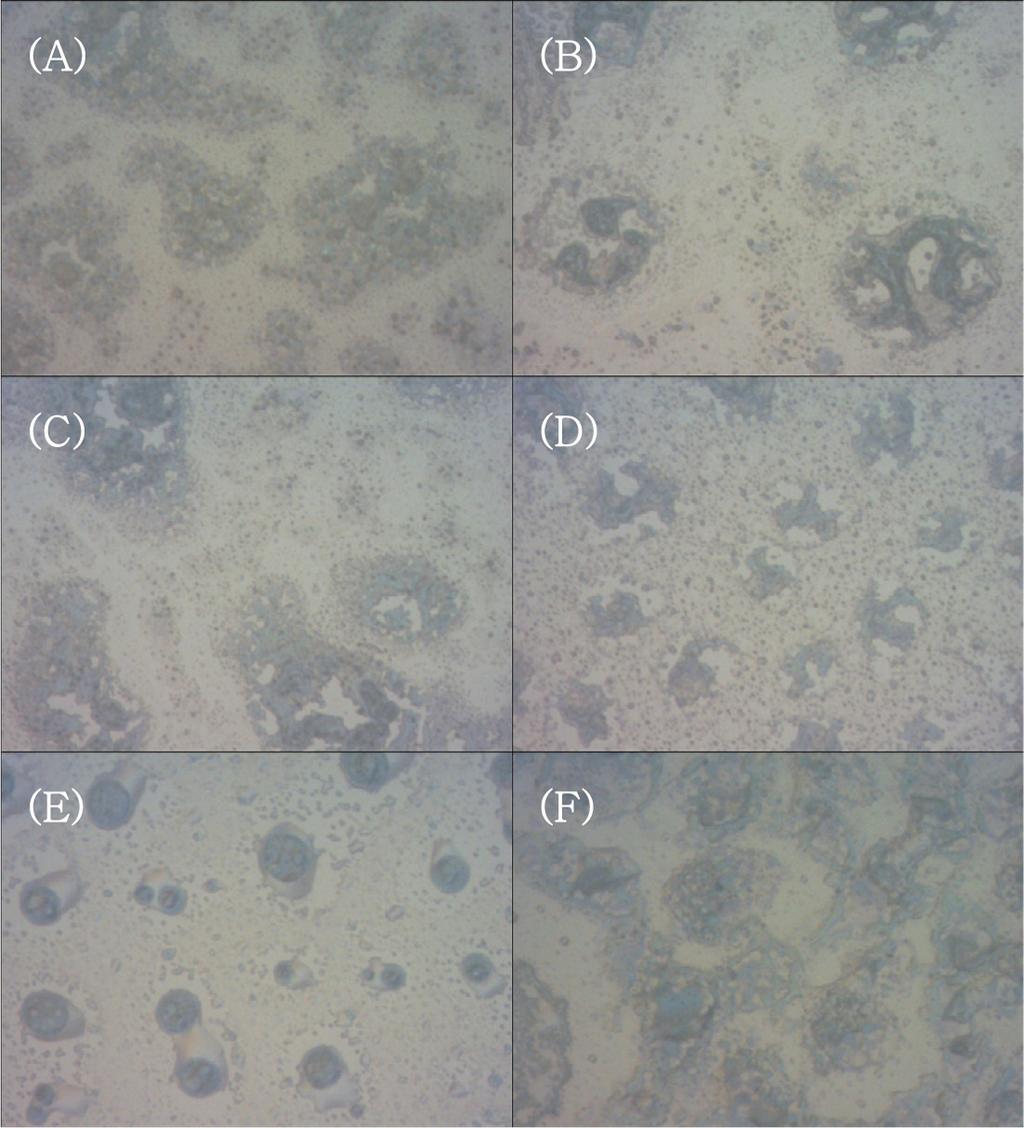 2 g) oxidant films spin-coated (spin rate=1500 rpm for 30 seconds) on bare glass surfaces consecutively treated with HF and plasma. Images in Fig.