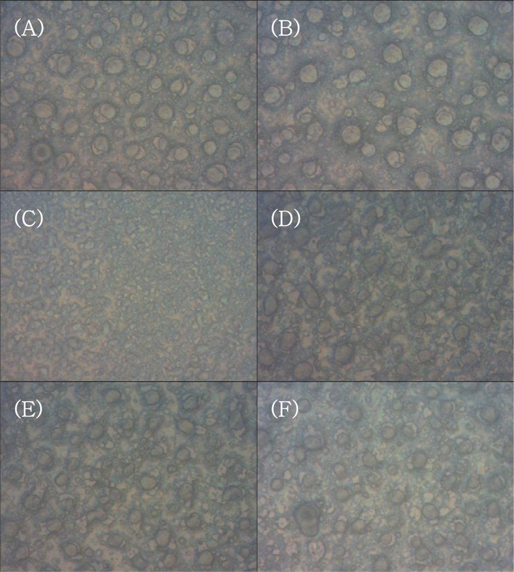 218 Joonwoo Lee and Sungsoo Kim Fig. 4. Optical microscope images of PEDOT films on FeCl 3 + DUDO oxidant mixture-coated APS-SAM surfaces.