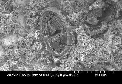 E-field: Chemical Composition of the Inside and Outside Rims of a Crater 10000 O Al 10000 O