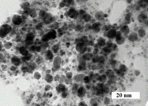 HRTEM Analysis: HRTEM micrographs of silver nanoparticles at room temperature showed very well dispersed silver nanoparticles (Figure 5) synthesized using cuscuta as reductant and stabilizer.