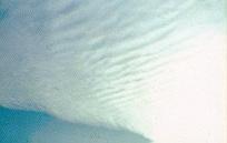 direction changes with height Often precursor of precipitation - warm front Resemble fish scales - Mackerel Sky Mackerel Sky Puffy Rows of Clouds