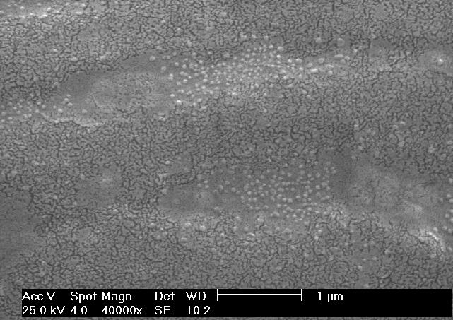 Pic.3 Electron-microscopic image of CdS nanoparticle in polypropylene Has been studied the influence of concentration of initial solutions on size of formed CdS nanoparticles.