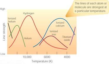 Temperatures of Stars Balmer line strength is sensitive to temperature: Most