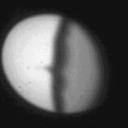 Proton Radiography Image Analysis Raw Proton Radiography Image Dark Field Image