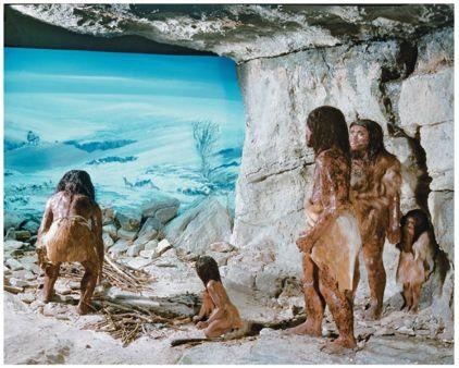 neanderthalensis Neanderthal