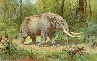 overhunting (Pleistocene
