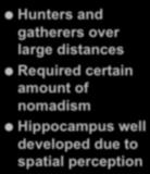 nomadism Hippocampus well