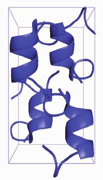 3. Result and Discussion We choose two types of protein, -helix and -sheet to validate the simple protein model by comparing the mechanical behavior of -helix with one of -sheet.