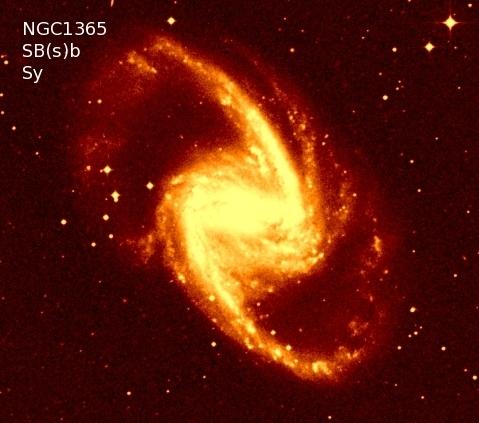 AGN host galaxies Early type galaxy AGN