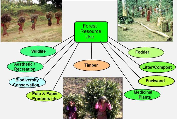 Observe the picture and write the uses of forests 1 x 3 =3 VII. Locate following on outline map of India 5x1=5 1. Lucknow 2.