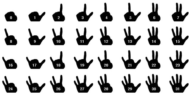 Counting Binary on your Fingers By assigning a power of two to each finger, and using a system where each