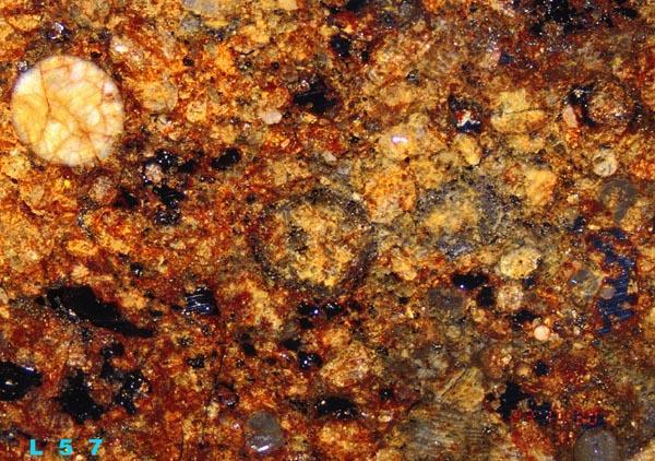 Igneous rocks. Examples: basalt, granite, anorthosite, meteorites. Chondrite meteorite (J.M.