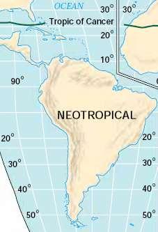 Neotropical Region Geographical isolation and variety of