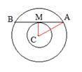 11. Let C is the centre of two concentric circles of radii 5cm and 3 cm. Let AB, a chord of the bigger circle which touches the smaller circle at M.