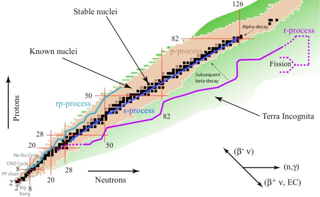 Research Nuclear astrophysics 19 To understand the role of unstable nuclei in the nucleosynthesis 1) Study of the abundances and formation