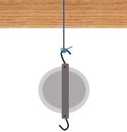 1. Set up the Pully System: Attach pulley to the side by tying a string around one hook and using masking tape so that it is secure (see figure). Thread string over the groove of the pulley.
