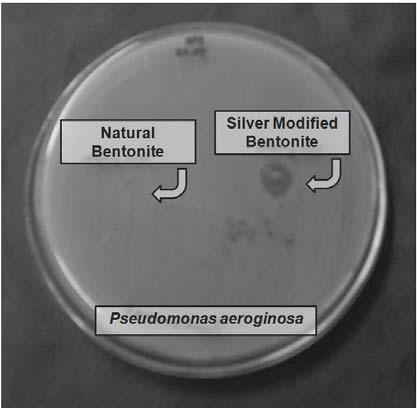 Conclusions In this study, antibacterial material was synthesized using raw bentonite and silver nitrate.