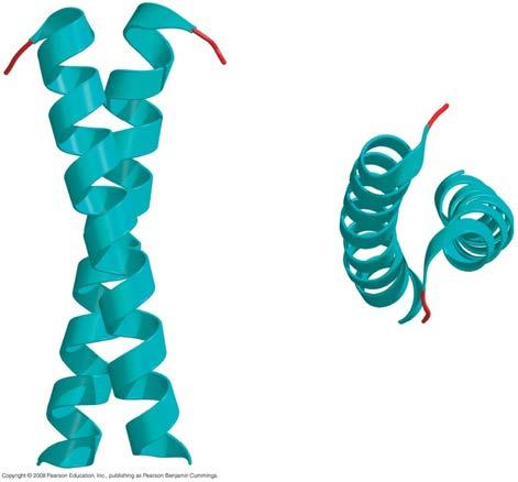 Transcription factors with the Leucine zipper motif -- a famous coiled coil with