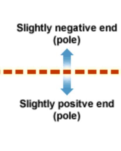 Since water is polar, it has slightly positive and negative poles.