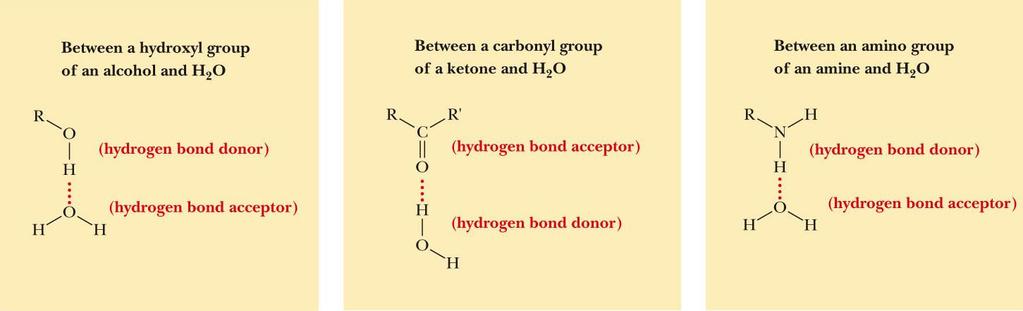 2.2 Hydrogen Bonds Hydrogen bonding also plays a role in