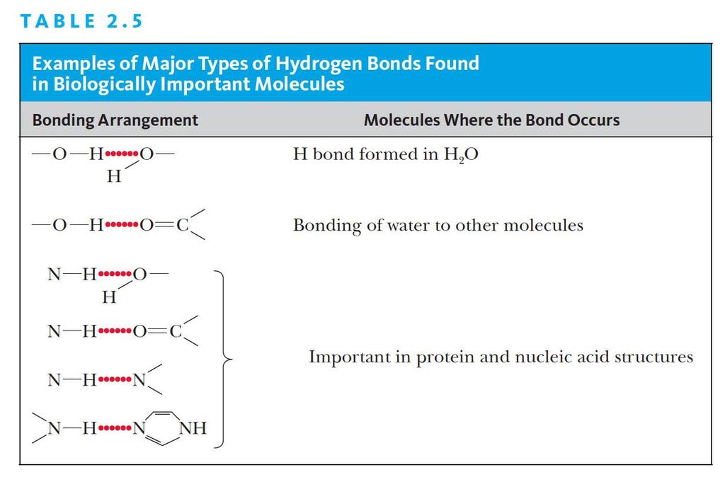 2.2 What Is a Hydrogen Bond?