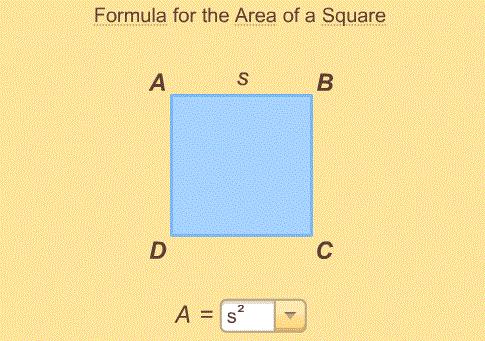 Chapter 2 Units of Area (Theory 4) Defines a square centimeter. (Theory 5) Shows how to use the square centimeter to measure a surface. (Theory 7) Defines a square meter.