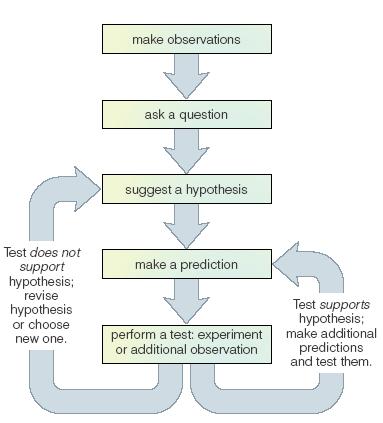 The idealized scientific method: Based on proposing and testing hypotheses Facts are the results of observation or measurement.