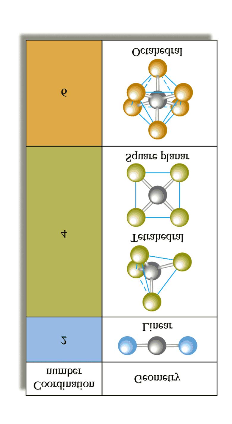 Figure 21.5: The ligand arrangements for coordination numbers 2, 4, and 6.