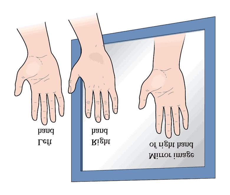 15: A human hand exhibits a nonsuperimposable mirror image.