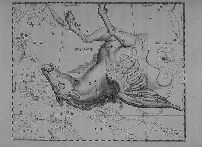 Hevelius Uranographia (1690) Pegasus