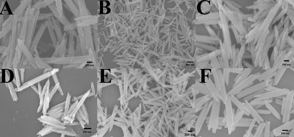 Fig. S2 SEM images of Gd(OH) 3 nanotubes with different Gd 3+