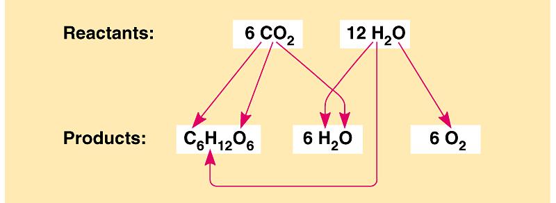 Photosynthesis is a redox reaction. It reverses the direction of electron flow in respiration.