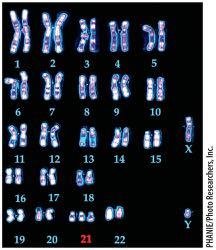 envelope may reform interkinesis haploid number of chromosomes diploid amount of DNA 2 x 1N meiosis II metaphase II chromosomes align anaphase II sister chromatids separate migrate to poles products