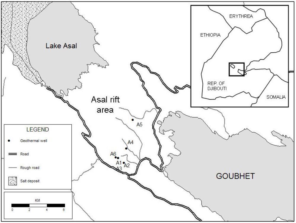 Idil Souleiman 594 Report 29 FIGURE 1: Asal geothermal field (from Elmi Houssein, 2005) The Asal area (Figure 1) is located in the Afar depression at the bottom of the Gulf of Tadjourah.