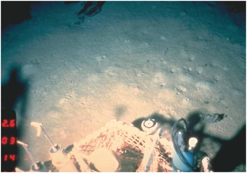 Marine Sediments Provide clues to Earth history Marine organism distribution Ocean