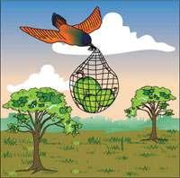 The Golden Windows - Unit 3 Worksheets: Reader 2 More Reading WORKSHEET 1a Why People began to Live in Houses Once upon a time, the great god Aum called the sun bird. He gave it three gourds.
