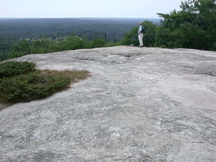 Summit Lookout Figure 4. Large, bare rock outcrop of white granite and pegmatite at the Summit.