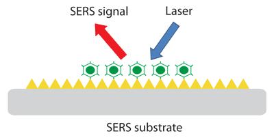 nanostructures surface-enhanced Raman scattering (SERS) A.