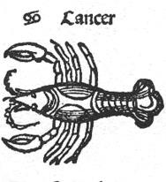 Cancer The Crab June 21 July 22 Cancerians love home-life, family and domestic settings. They are traditionalists, and enjoy operating on a fundamental level.