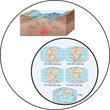 8 E-8 Tectonic Plates (4 bya) Demonstrate by cracking a hard boiled egg and riding the bits over the egg surface Exactly when plate tectonics began is not known.