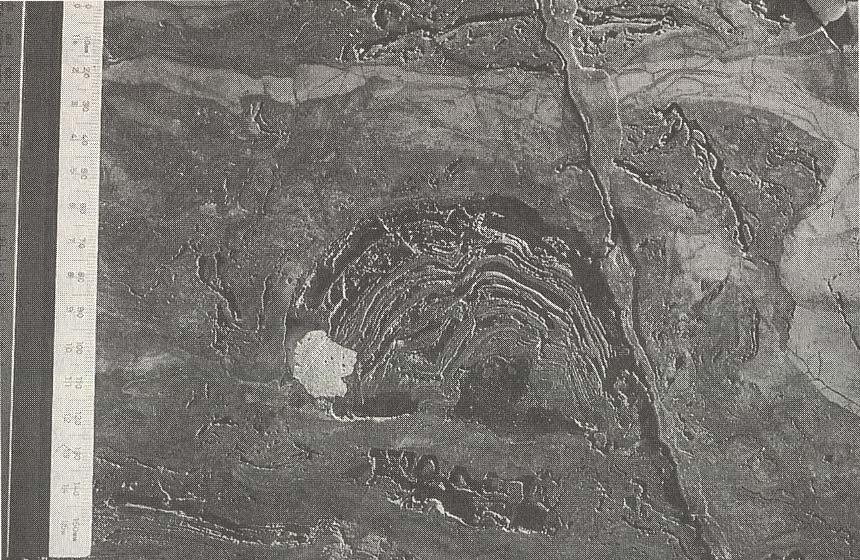 Ancient Stromatolite?