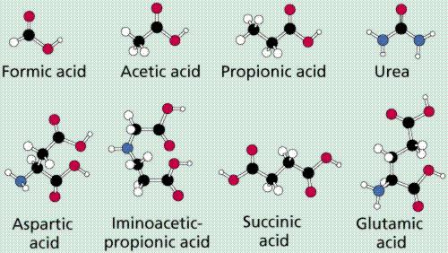 Subsequent modifications of the atmosphere of the experiment have led to production of representatives or precursors of all four organic macromolecular classes.