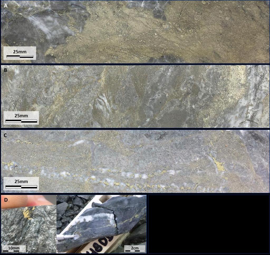 Figure 7: Mineralisation styles at Hill 800.