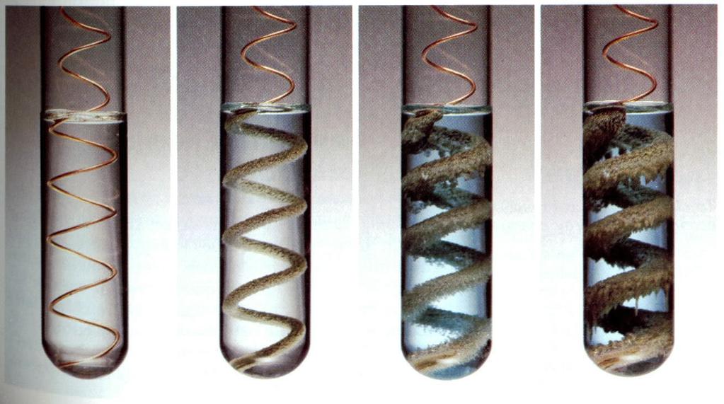 A Single Replacement Reaction Copper wire reacts with silver nitrate