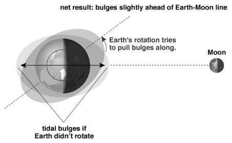 The Moon s gravity pulls back on the bulge, slowing Earth s rotation As a result, the length of a day increases ~2 ms/century (1 s/50,000 y) 82 What about the effect of the Moon on Earth?